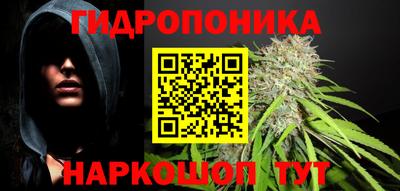 дурь Кингисепп