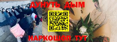 дурь Кингисепп