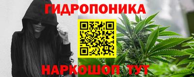 дурь Кингисепп