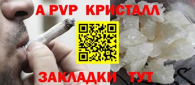 дурь Кингисепп