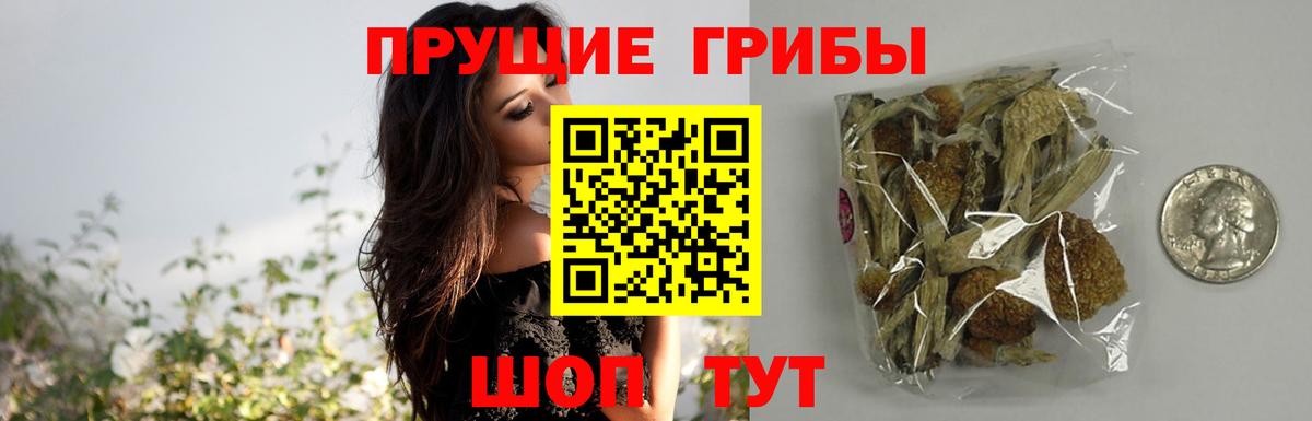 Псилоцибиновые грибы Magic Shrooms  Вход с VPN  Галлюциногенные грибы Psilocybine cubensis  Кировск 